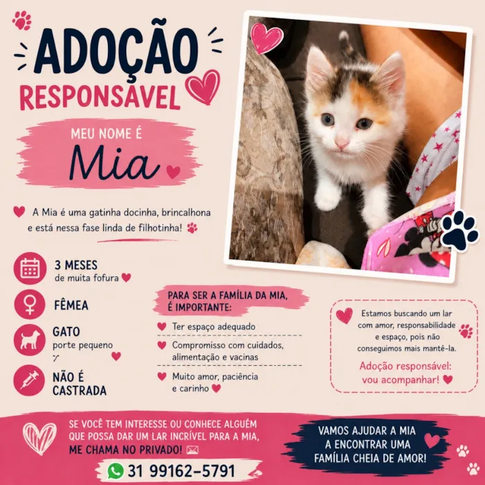 Gato raça SRD-ViraLata idade 2 a 6 meses nome Mia