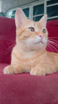 Ray