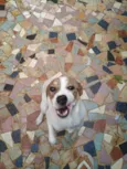 Loly