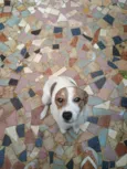Loly