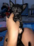 não tem nome