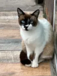 Micaela 