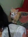 Lili