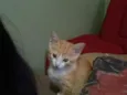 Lili
