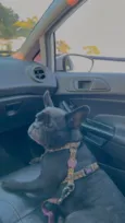 Maya