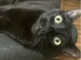 Sebastian