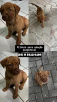 Leon