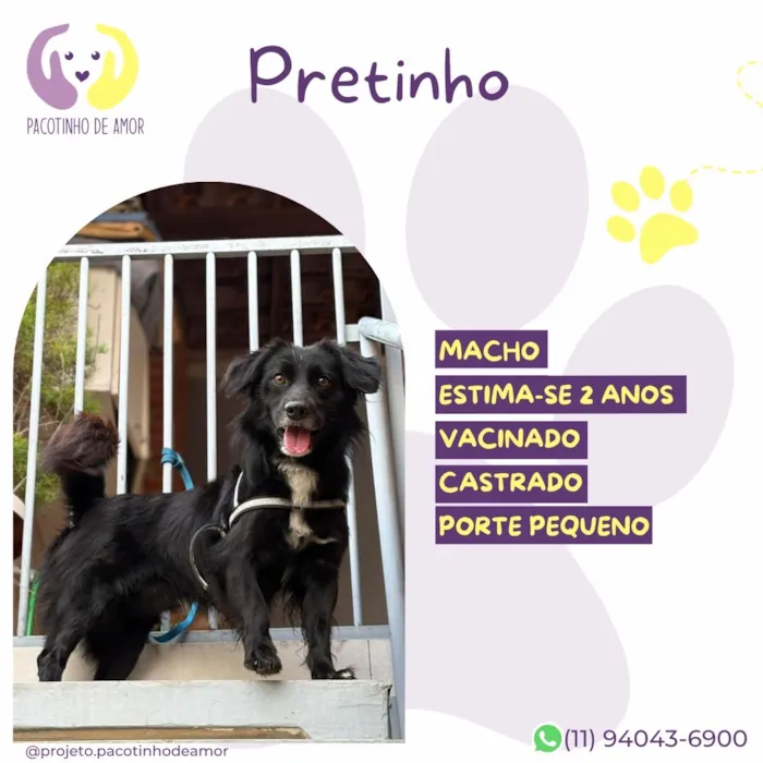 Cachorro raça SRD-ViraLata idade 2 anos nome Pretinho