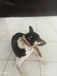 maximo 