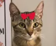 Tina 