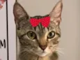 Tina 