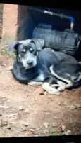 não sabemos