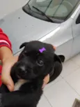 Safira