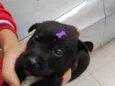 Safira