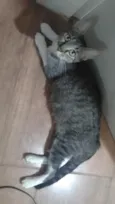 Sinhá e Fumaça 