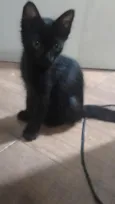 Sinhá e Fumaça 