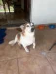 Tony