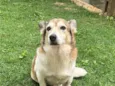 Tony