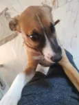 foi chamado de nenê ou de Astor