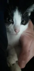 Elvira