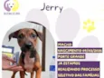 Jerry