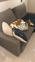Lilo