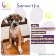 Samantha
