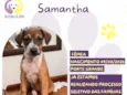 Samantha