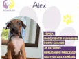 Alex