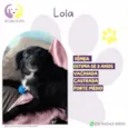 Lola