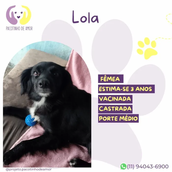 Cachorro raça SRD-ViraLata idade 3 anos nome Lola