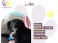 Lola
