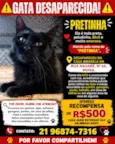 Pretinha