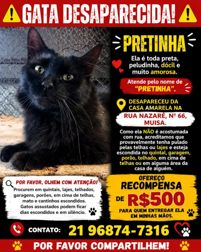 Gato raça SRD-ViraLata idade 3 anos nome Pretinha