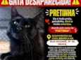 Pretinha