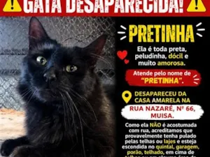 Gato raça SRD-ViraLata idade 3 anos nome Pretinha