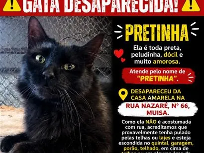 Gato raça SRD-ViraLata idade 3 anos nome Pretinha