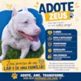 Zeus