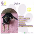 Bella