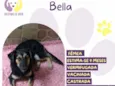 Bella