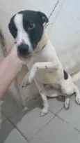 Kyara e Spike