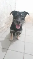 Kyara e Spike