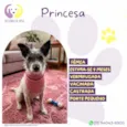 Princesa
