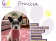 Princesa