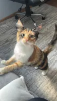 Nala