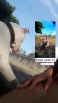 Pérola
