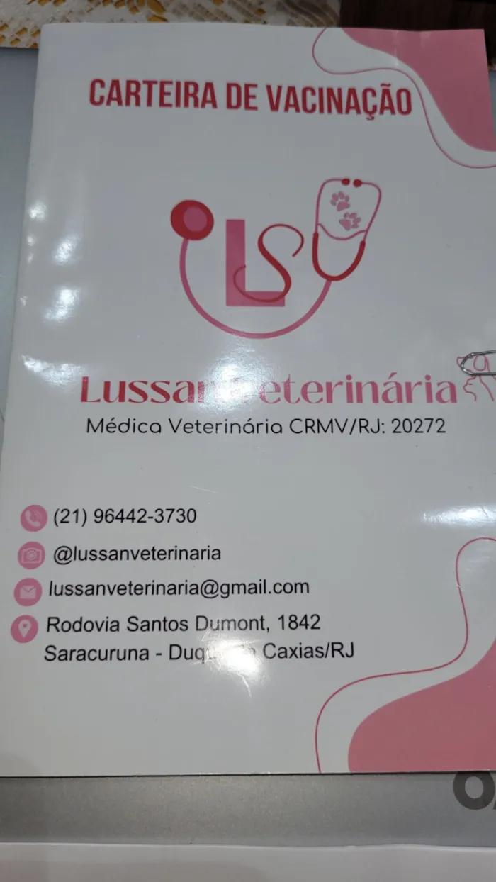 Cachorro raça SRD-ViraLata idade 2 a 6 meses nome Resgatada