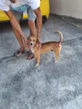 Não tem nome