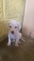 Não tem nome