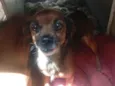 mel